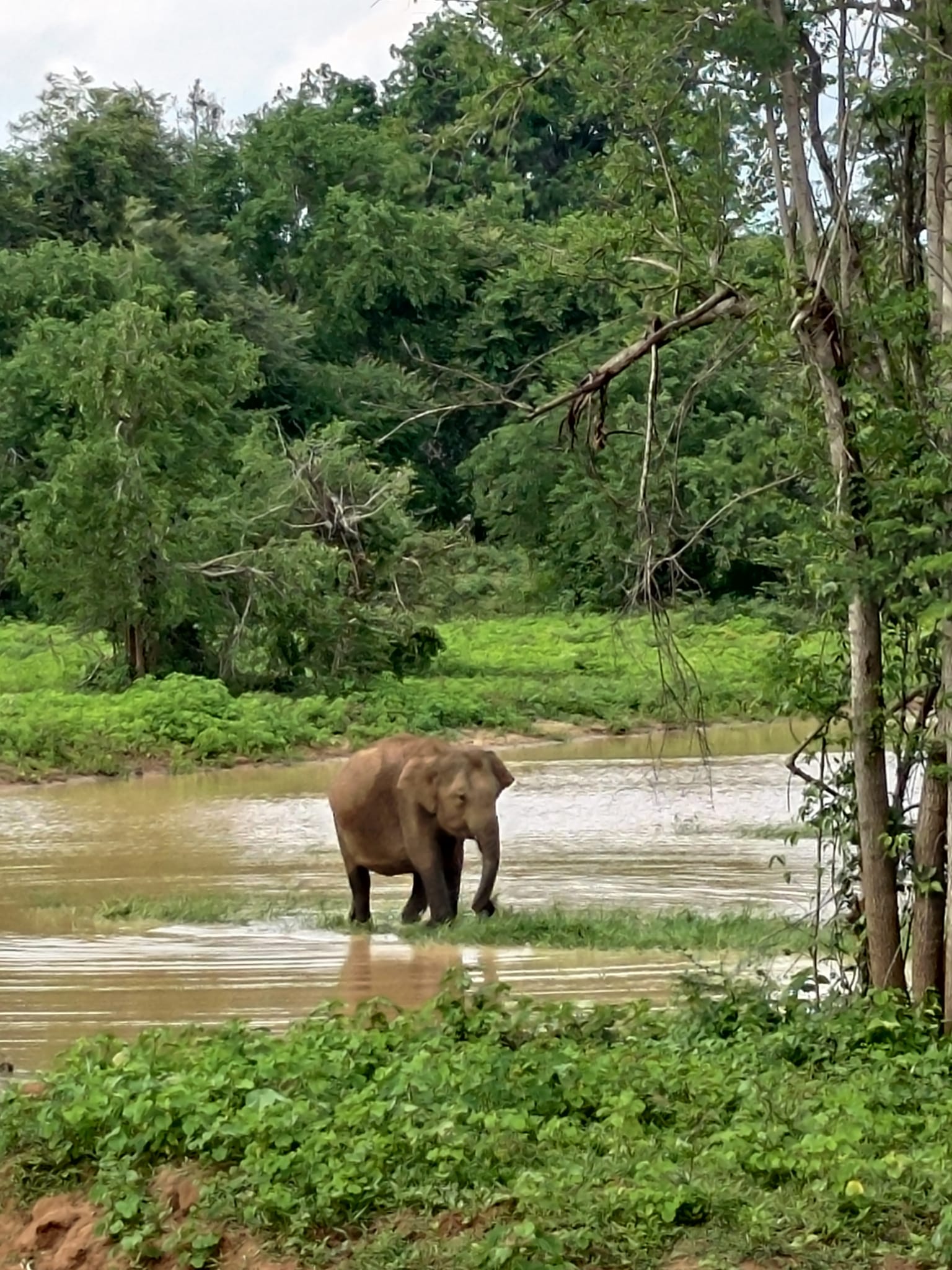 Sri Lanka - Pentru Toti!