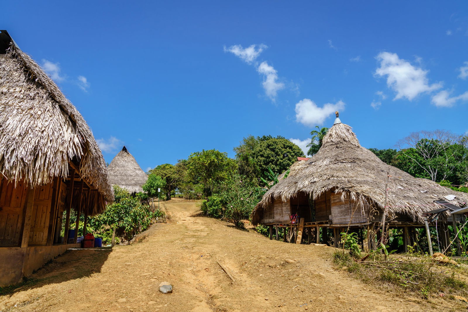 Panama City – Zi libera sau Excursie optionala Embera Village