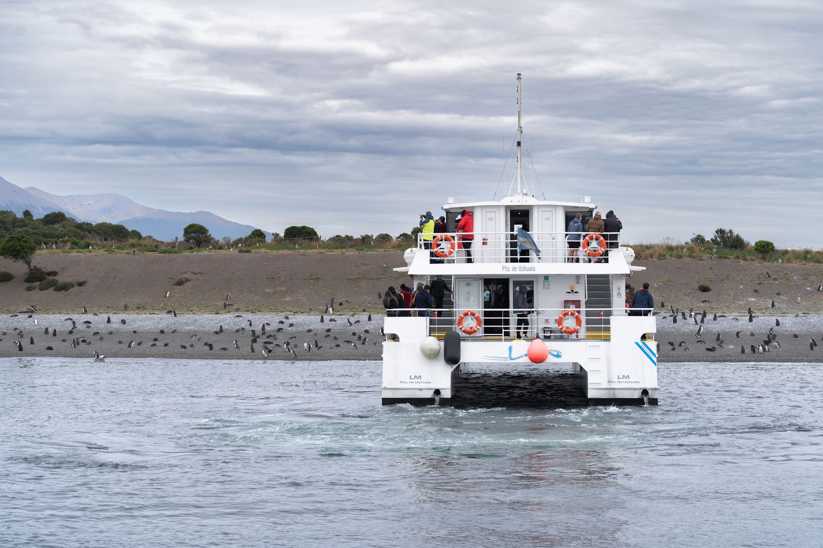 Pelerinaj la Sanctuarul Pinguinilor de pe Insula Martillo