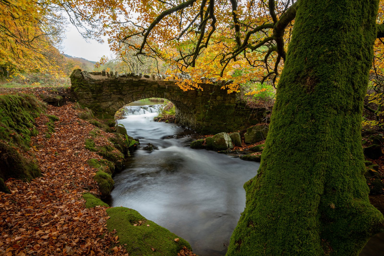 Excursie Circuit anglia-regatul-wessex-legenda-regelui-arthur-avion
