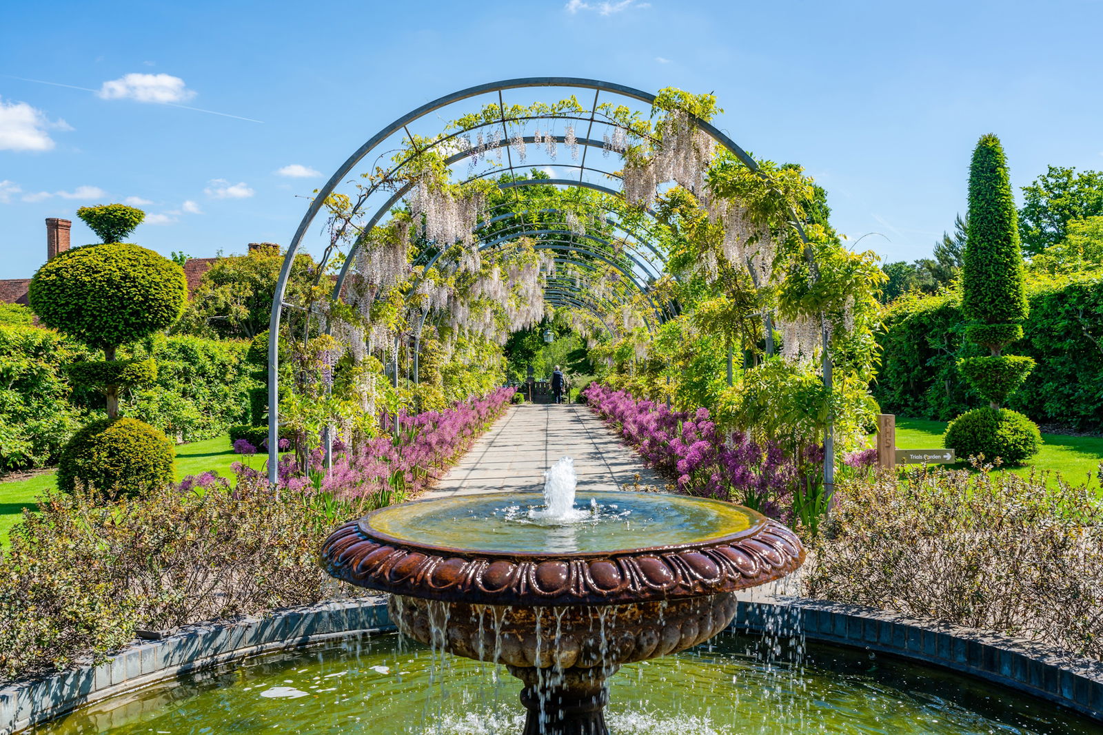 Gradinile Wisley si Palatul Hampton Court