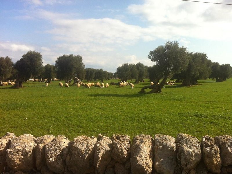 Hotel Masseria Pelosella