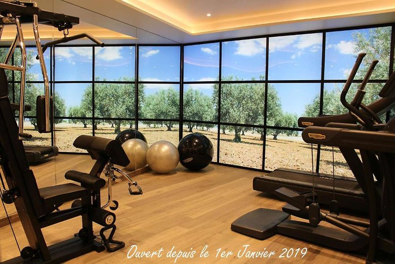 Best Western Plus Le Lavarin
