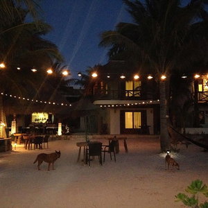 Hotel Casa Iguana Holbox cazare Isla Holbox