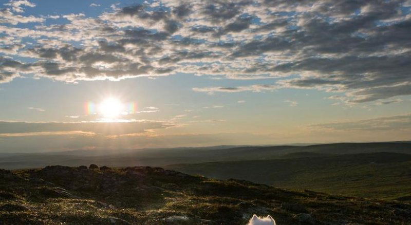 Hotel Aurora Village