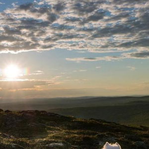 Hotel Aurora Village cazare Ivalo