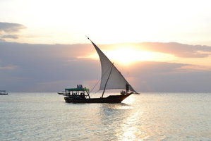 Hotel Union Beach Bungalows cazare Nungwi