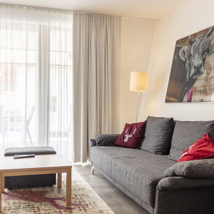 Hotel Attractive Apartment Near Ski Lift cazare Schladming