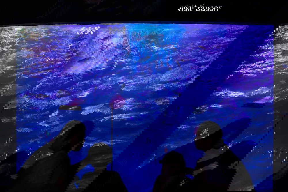 Hotel Best Louis Hamilton Hotel