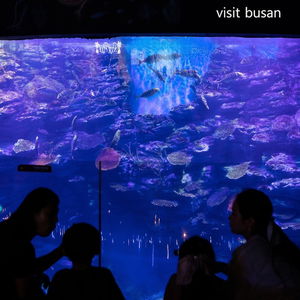 Hotel Best Louis Hamilton Hotel cazare Busan