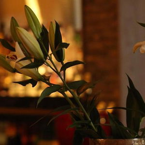 Hotel Riverside Lodge Hotel cazare Irvine