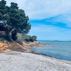 Hotel Piccolo Pevero cazare Porto Cervo