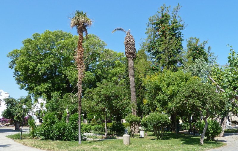 Poseidon Hotel And Apartments