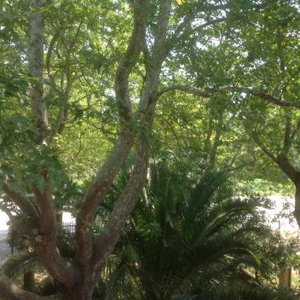 Hotel Hotel Argilos cazare Asprovalta