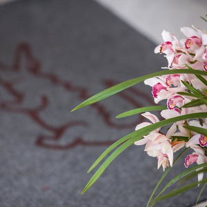 Hotel Coccodrillo cazare Varazze