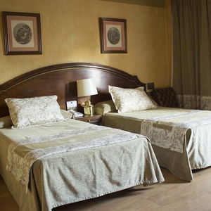 Sejur Hotel M.a. Princesa Ana vacanta Granada