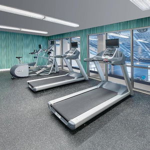 Hotel Holiday Inn Express & Suites Mississauga-Toronto Southwest cazare Mississauga