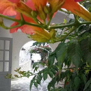 Hotel Mare Monte cazare Ios