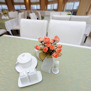 Hotel Aisi Hotel cazare Batumi