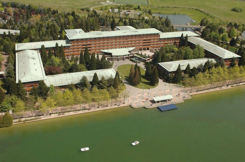 Disney Sequoia Lodge