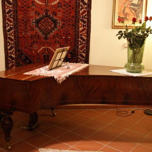 Hotel Hotel-Restaurant Fischer cazare Bad Waltersdorf