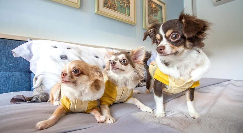 Hotel Hill Fresco Pattaya