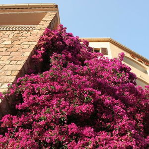 Hotel Capo D'orto cazare Bordeaux