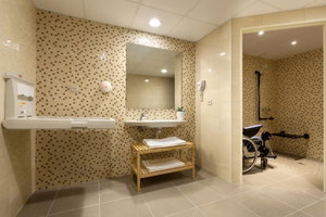 Hotel Roissy cazare Lourdes