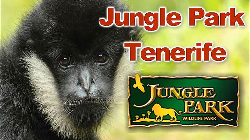 Hotel Adonis Capital