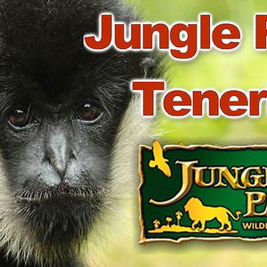 Hotel Adonis Capital cazare Goa