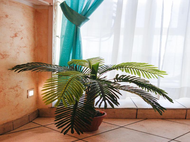 Hotel Hotel Arco Romana