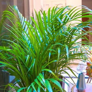 Hotel Sweet Sevilla Suites cazare Seville