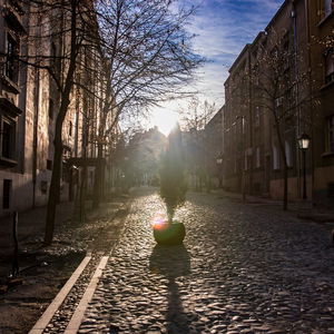 Hotel Luxury Rooms Velika Skadarlija cazare Belgrad