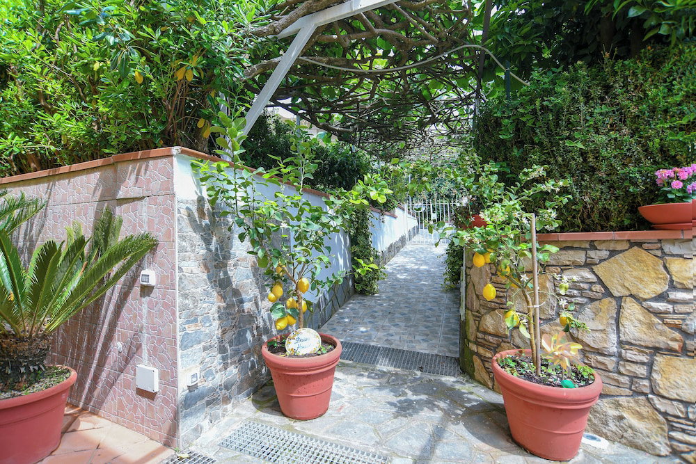 Daisy House