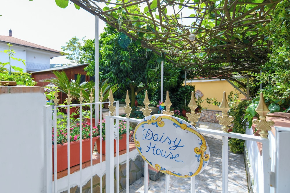 Daisy House