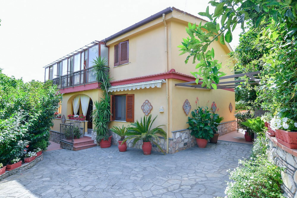 Daisy House