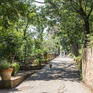 Hotel Grand Hotel Hermitage And Villa Romita cazare Massa Lubrense