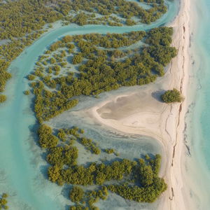 Sejur Anantara Sir Bani Yas Island Al Yamm Villa Resort vacanta Sir Bani Yas Island