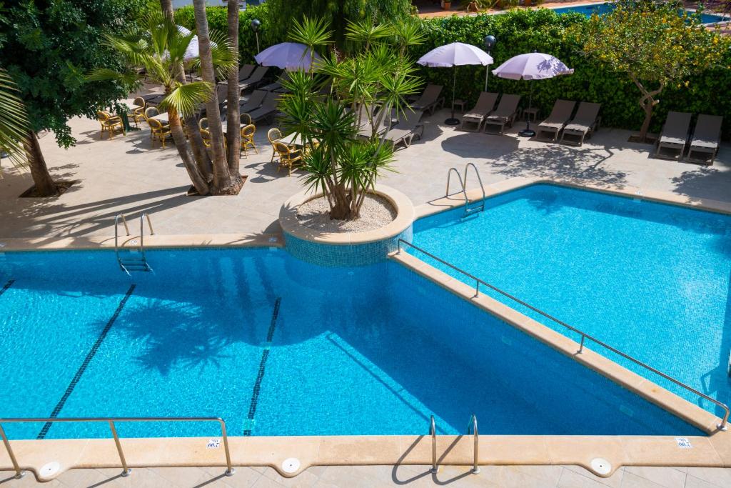 Flor Los Almendros Hotel And Apartaments