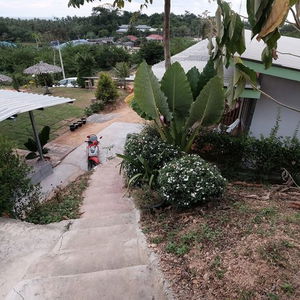 Hotel Cat Bungalow cazare Ko Lanta