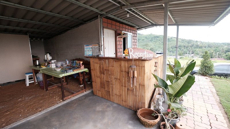 Cat Bungalow
