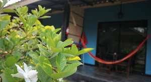 Hotel Raven Blue cazare Ko Lanta