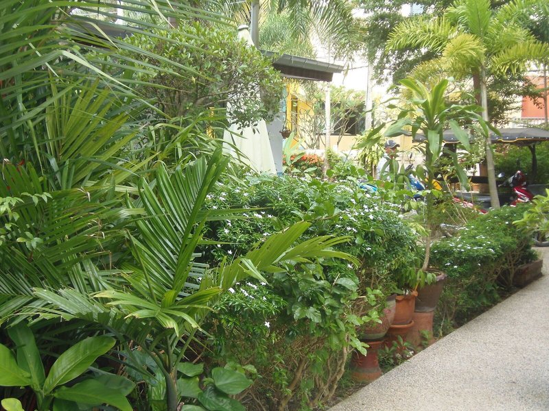 The Orange City Resort