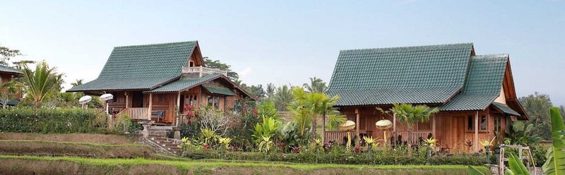 Hotel Ti Amo Bali