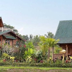 Hotel Ti Amo Bali cazare Penebel