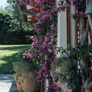 Hotel Capo Santa Fortunata cazare British Columbia