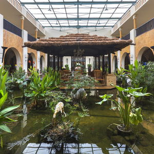 Hotel Africa Jade Thalasso cazare Korba