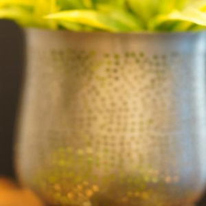 Hotel Jephson Hotel cazare Brisbane