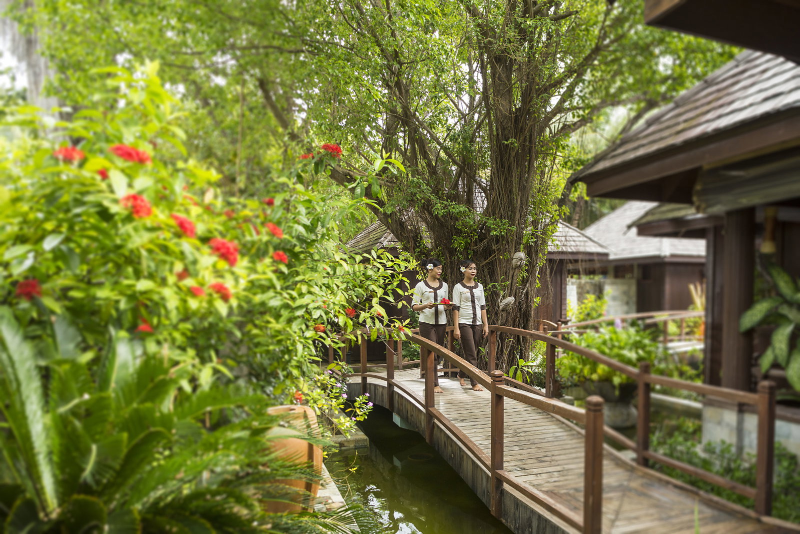 Hotel Sun Siyam Olhuveli