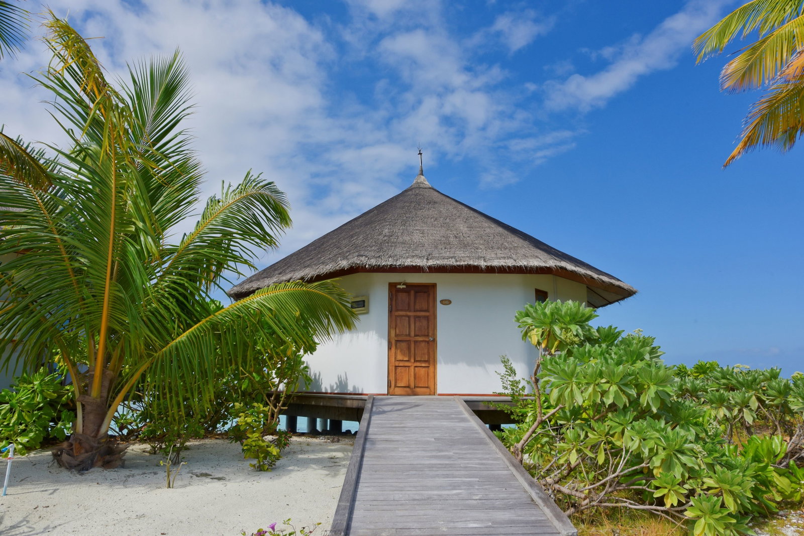 Hotel Safari Island Resort & Spa